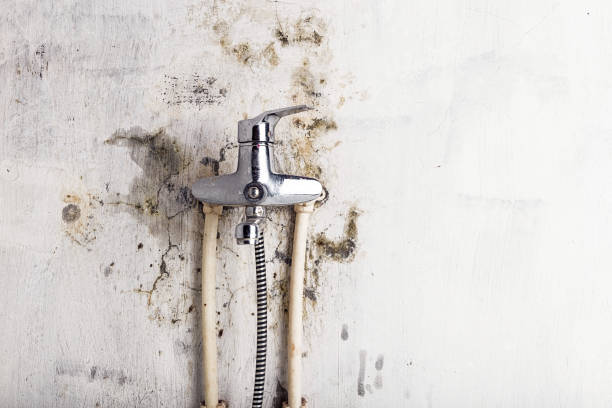 Best Residential Mold Remediation in Moorpark, CA