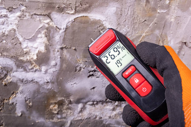 Best Health and Safety Mold Remediation in Moorpark, CA